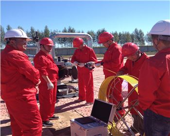 大庆石油天然气管道检测[九泰内窥镜]